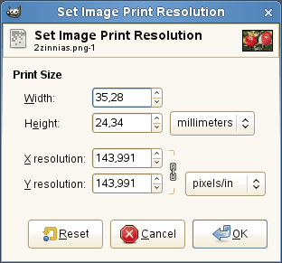 The Print Size dialog